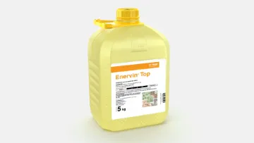 enervin top
